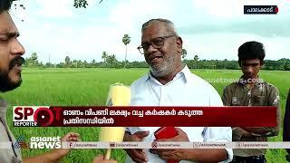 വേനലിൽ വെന്ത് നീറി കാർഷിക മേഖല | Spot Reporter 17 Aug 2023