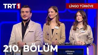 Lingo Türkiye 210. Bölüm