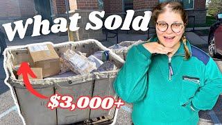 EVERYTHING THAT SOLD FOR $50+ in February 2025 on eBay & Poshmark