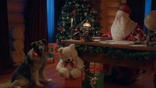 Видеопоздравление от Деда Мороза серия "Лохматые друзья" для нескольких детей