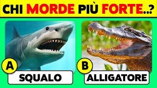 Conosci gli ANIMALI...?  50 Domande di CULTURA GENERALE 