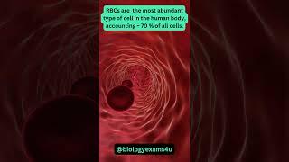 Most abundant Cell in our body is without nucleus|| Human body #biologyexams4u