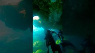 Underwhelming Scuba Dive Sharks Cove Lava Tubes  | #naturelovers