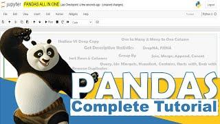 Python Pandas Complete Tutorial | Beginner to Pro Level in One Video