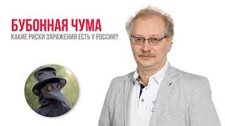 Бубонная чума: какие риски заражения есть у России?