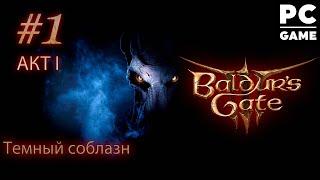 Злое прохождение Baldur's Gate 3 ● Тёмный соблазн ● Сложность Тактика ᐅ СТРИМ #1