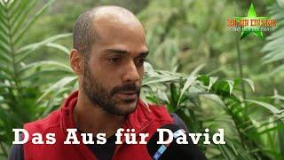 David muss das Camp an Tag 11 verlassen | Dschungelcamp 2024