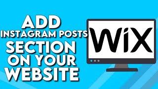 How To Add Instagram Posts Section on Your Website Page on Wix