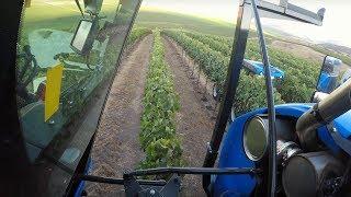 Machinery Minute: Braud 9090X Grape Harvester