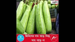 অধিকাংশ সবজির দাম ১০০ টাকা, মানুষের নাগালের বাইরে দ্রব্যমূল্য