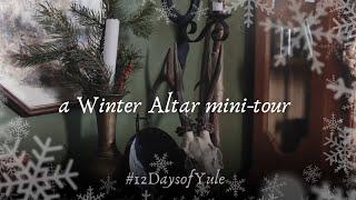 My foraged Winter Solstice Altar Decorations | a German Folk Witch Christmas time - #12DaysofYule