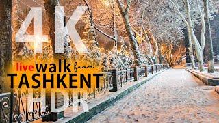 Snowing Live Walk from city Tashkent [2 am] | Живое видео Ташкента | Снег в Ташкенте
