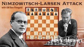 The Nimzowitsch-Larsen Attack: Lecture with GM Ben Finegold