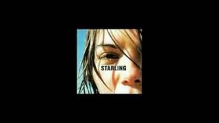 Starling - Everything in the World