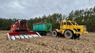 Bizon Gigant Z060 KUKURYDZA W GRUDNIU PO POŁUDNIU  Rolnik Łukasz