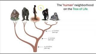 Becoming Human: Introduction part 1