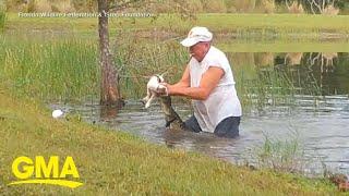 Man jumps into water, saves dog from alligator l GMA