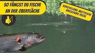 So fängst du Fische an der Oberfläche