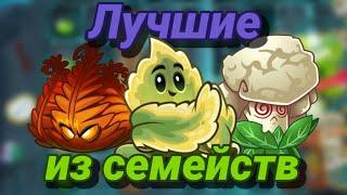 Лучшие РАСТЕНИЯ каждого СЕМЕЙСТВА | Plants vs Zombies 2