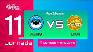 LIGA EXPANSIÓN MX JORNADA 11 | JAIBA BRAVA VS DORADOS