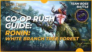 Co-op Rush: Ronin - Full Guide with Commentary | Black Desert Mobile (2024)