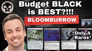 The BEST MONO BLACK DECK only has 4 RARES?! (Standard)