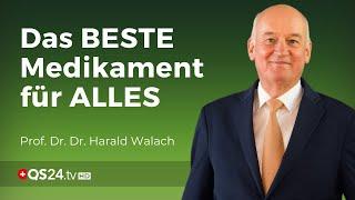 Das weltweit beste Medikament für ALLES hat einen Namen! | Prof. Dr. Dr. Harald Walach | 17.05.2020