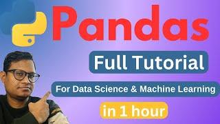 Python Pandas Tutorial: Complete Tutorial for Data Science & Machine Learning (2025)