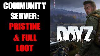 How To Make Loot Spawn Undamaged, Pristine, Full & Last Longer On DayZ Console Community Server