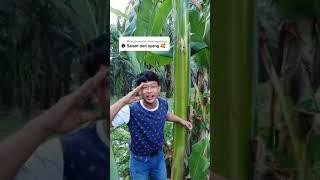 Viral di tiktok salam dari binjai