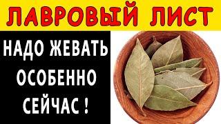 Что будет, если ПОЖЕВАТЬ ЛАВРОВЫЙ ЛИСТ  Необратимые изменения произойдут в организме - ОЧИЩЕНИЕ ...