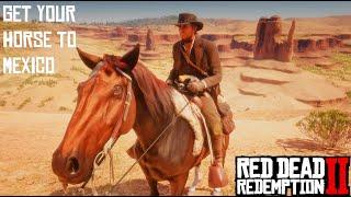 How to Get to Mexico with your Horse | RDR2