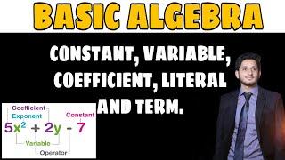 Algebra Basics || What is Algebra? || Constant, Coefficient, Variable, Literals, Term || Hindi/Urdu