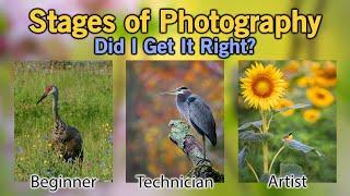 Stages of Photography Including Wildlife and Bird