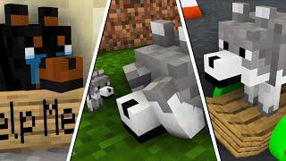 WOLF LIFE SEASON 2 | Cubic Minecraft Animations | All Episodes