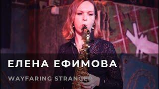 Елена Ефимова - Wayfaring stranger (2 года занятий)