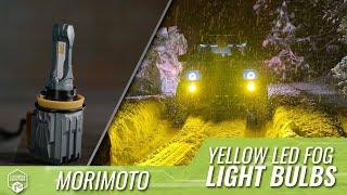 TRS Tech Tip | Why You Should Consider Yellow Fog Lights