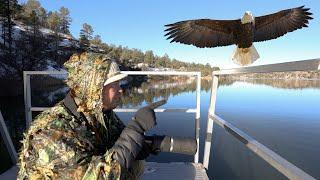 WILDLIFE PHOTOGRAPHY: CHASING EAGLES On Icy Trails & My Nemesis Bird Round 3