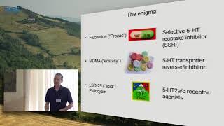 Zachary Mainen on Serotonin: from neural circuits to adaptive behavior - Part 1