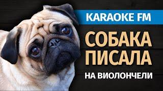 КАРАОКЕ ROZALIA - СОБАКА ПИСАЛА | Виолончель, гитара, кахон | Karaoke FM Version