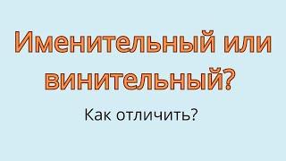 Именительный или винительный? Как отличить винительный падеж от именительного?