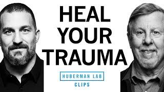 How to Transform Trauma with IFS Therapy | Dr. Richard Schwartz & Dr. Andrew Huberman