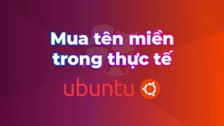 Mua tên miền website | Trỏ tên miền về IP Server