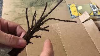 HO Scale Old Oak Tree Build Using Rustic Wire - Model Railroad Adventures with Bill EP127