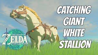 Catching the giant white stallion