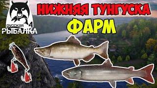 ФАРМ НА НИЖНЕЙ ТУНГУСКЕ РР4 ЛУЧШАЯ ТОЧКА ДЛЯ ТРОЛЛИНГА РУССКАЯ РЫБАЛКА 4