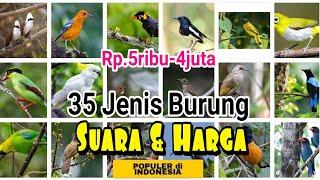 35 Types of Popular Singing Birds in Indonesia and Their Market Prices (2022)