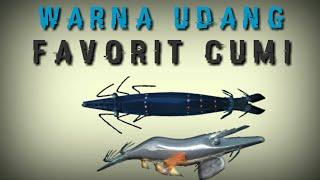 WARNA UDANG FAVORIT CUMI-Angler Cumi