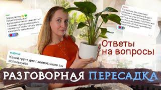 Большая РАЗГОВОРНАЯ ПЕРЕСАДКА | Отвечаю на вопросы подписчиков 