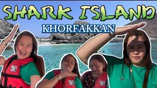 SHARK ISLAND | KHORFAKKAN | MINI MALDIVES IN UAE